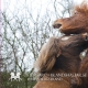 Inridning-vecka3killarna gantirodblack1201204
