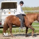 Inridning-vecka18-Ran ran1204306