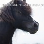 geysir0629