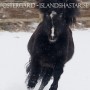 geysir_vinter
