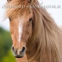 fannar0519