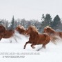 inackorderingar100217