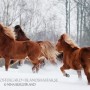 threnna100217
