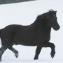 brunn101207