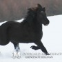 brunn1012072