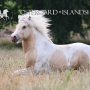 alfur0703