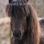 demantur03142