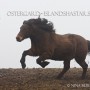 Gestur