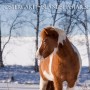 hjartagna02131