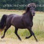 hulda0710