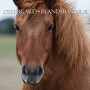 Lysa