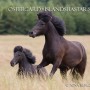 askja0710