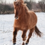 geisli100125
