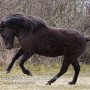 hulda100420