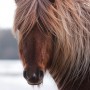 stormur10002172