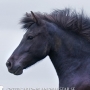 hulda100612