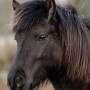 hulda110312