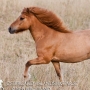 lysa100723