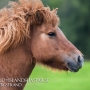 lysa1009031