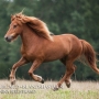 olli100820