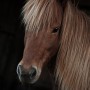 olli1105032