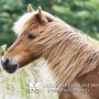 olli110619