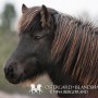 hulda120117
