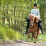 olli110520
